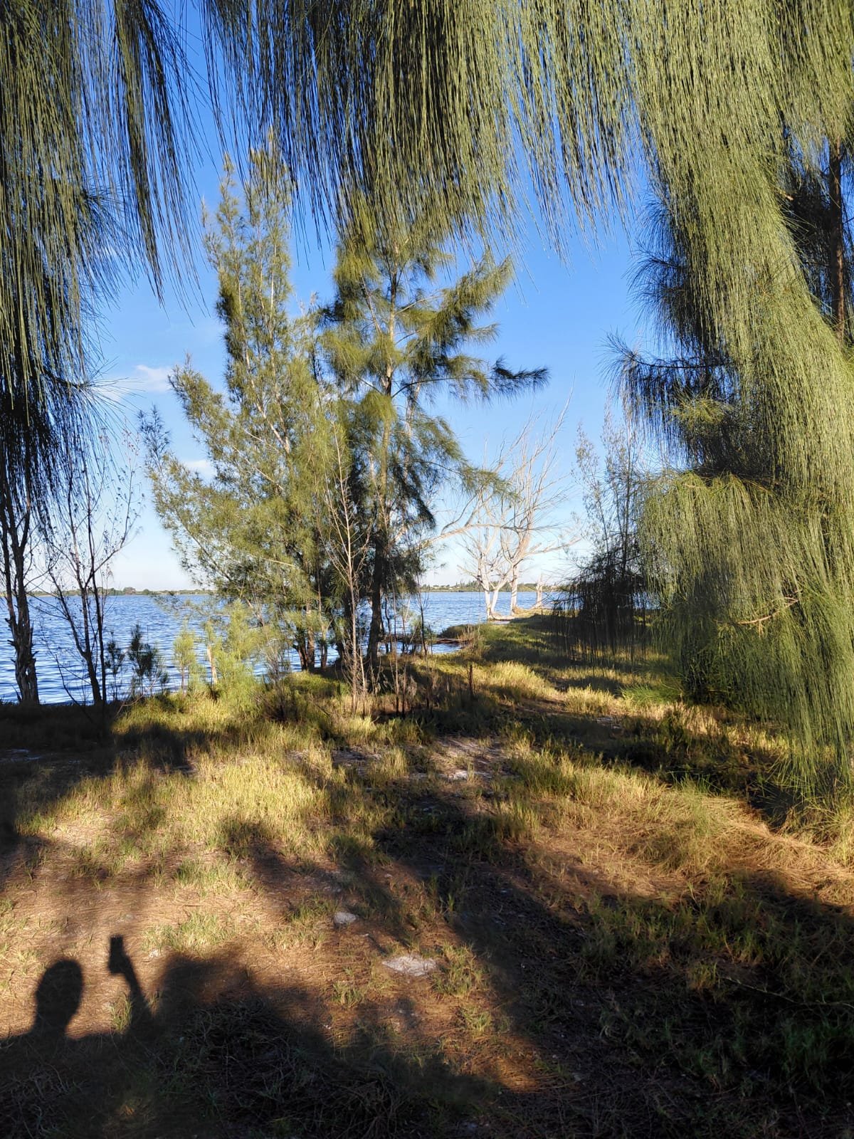 FOTO BOA LAGOA FUNDO TERRENO NA BEIRA DA LAGOA NA PRAIA SECA EM ARARUAMA DE 450M² TOTALMENTE PLANO