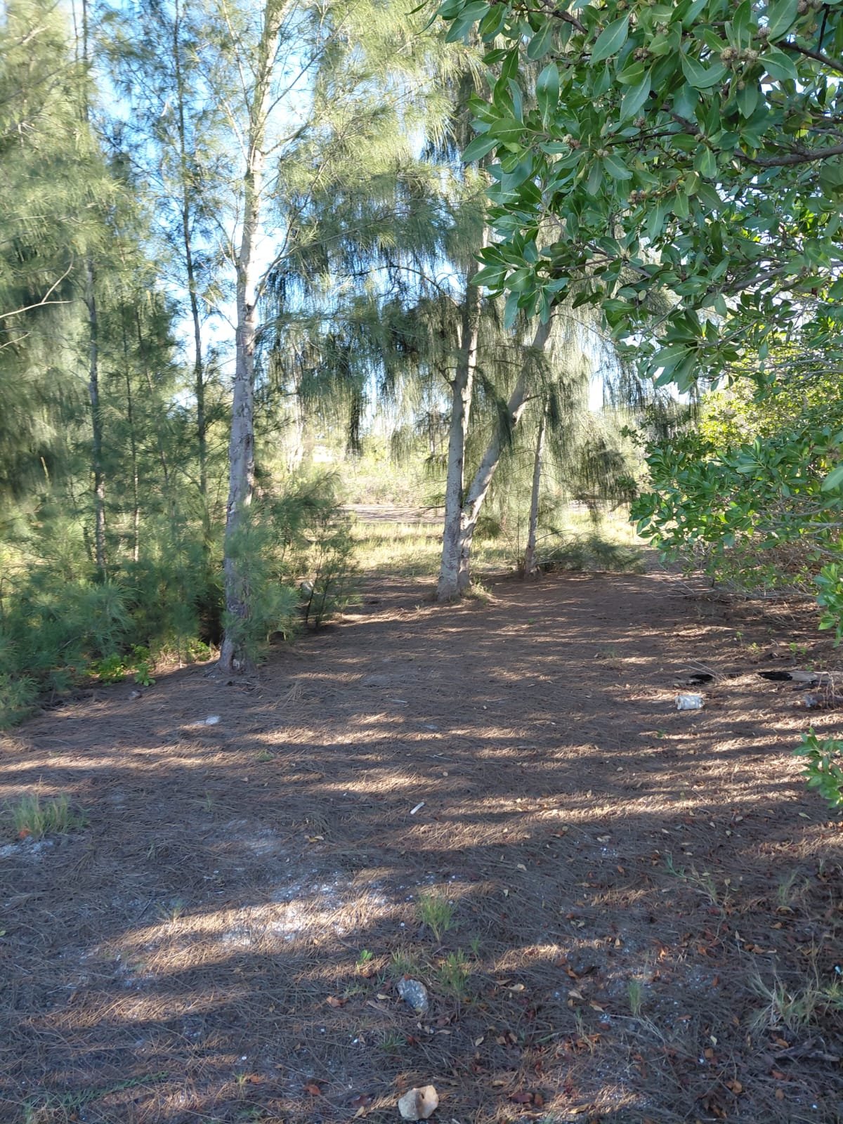 FOTOS TERRENOS EM SI TERRENO NA BEIRA DA LAGOA NA PRAIA SECA EM ARARUAMA DE 450M² TOTALMENTE PLANO