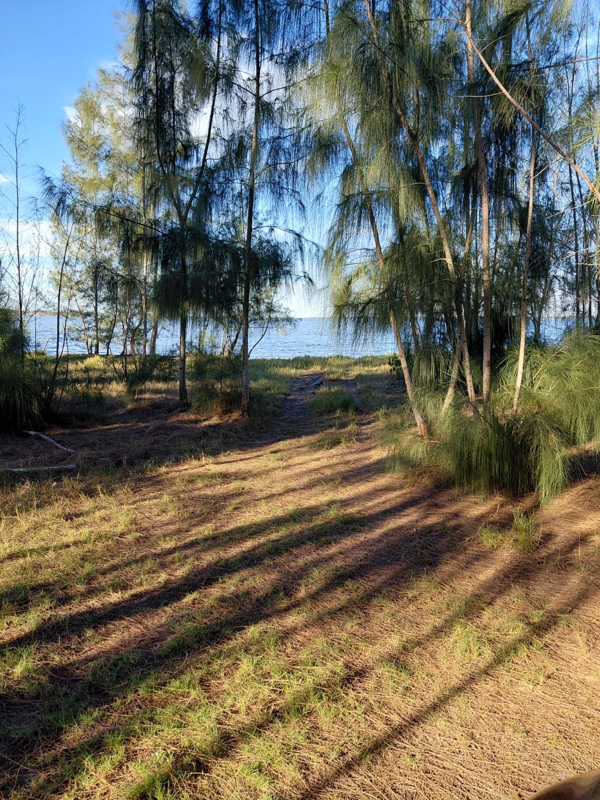IMAGEM COM LAGOA NO FUNDO TERRENO NA BEIRA DA LAGOA NA PRAIA SECA EM ARARUAMA DE 450M² TOTALMENTE PLANO