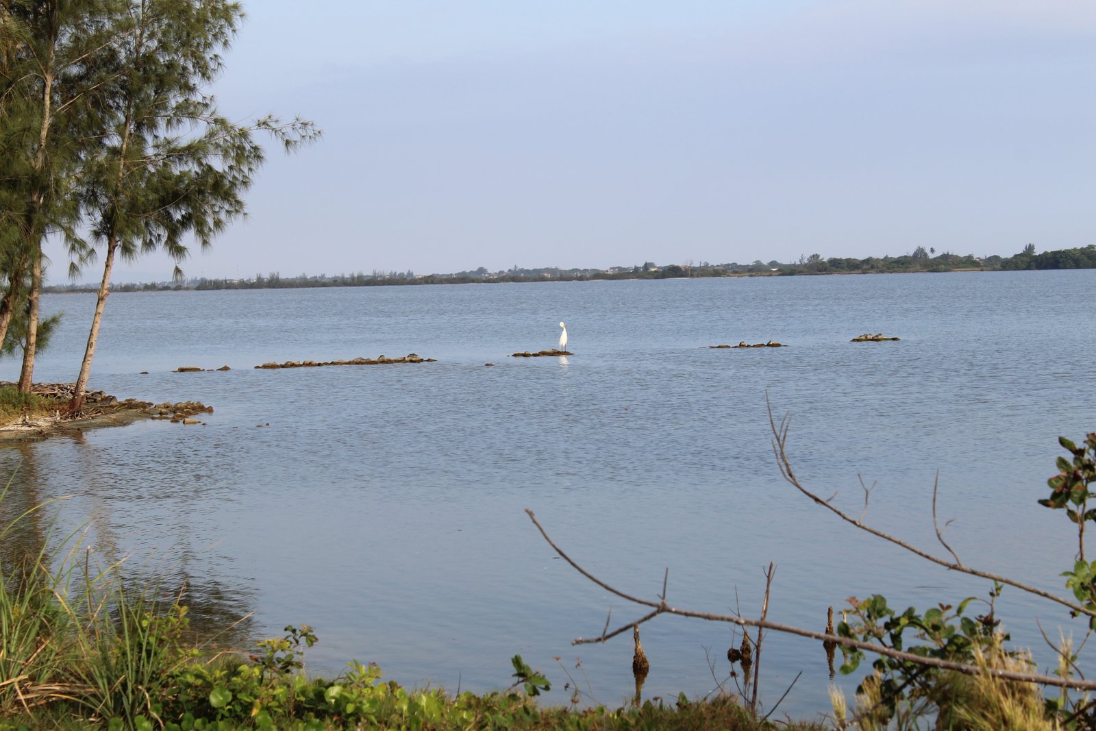 MELHOR FOTO TERRENO NA BEIRA DA LAGOA NA PRAIA SECA EM ARARUAMA DE 450M² TOTALMENTE PLANO
