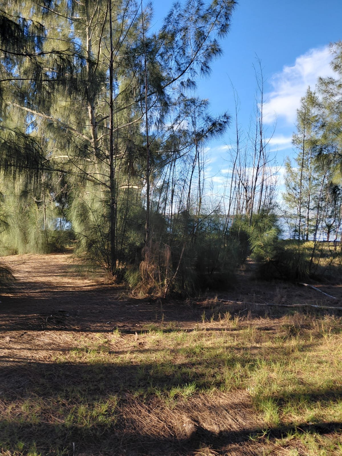 TERRENO DE FRENTE TERRENO NA BEIRA DA LAGOA NA PRAIA SECA EM ARARUAMA DE 450M² TOTALMENTE PLANO