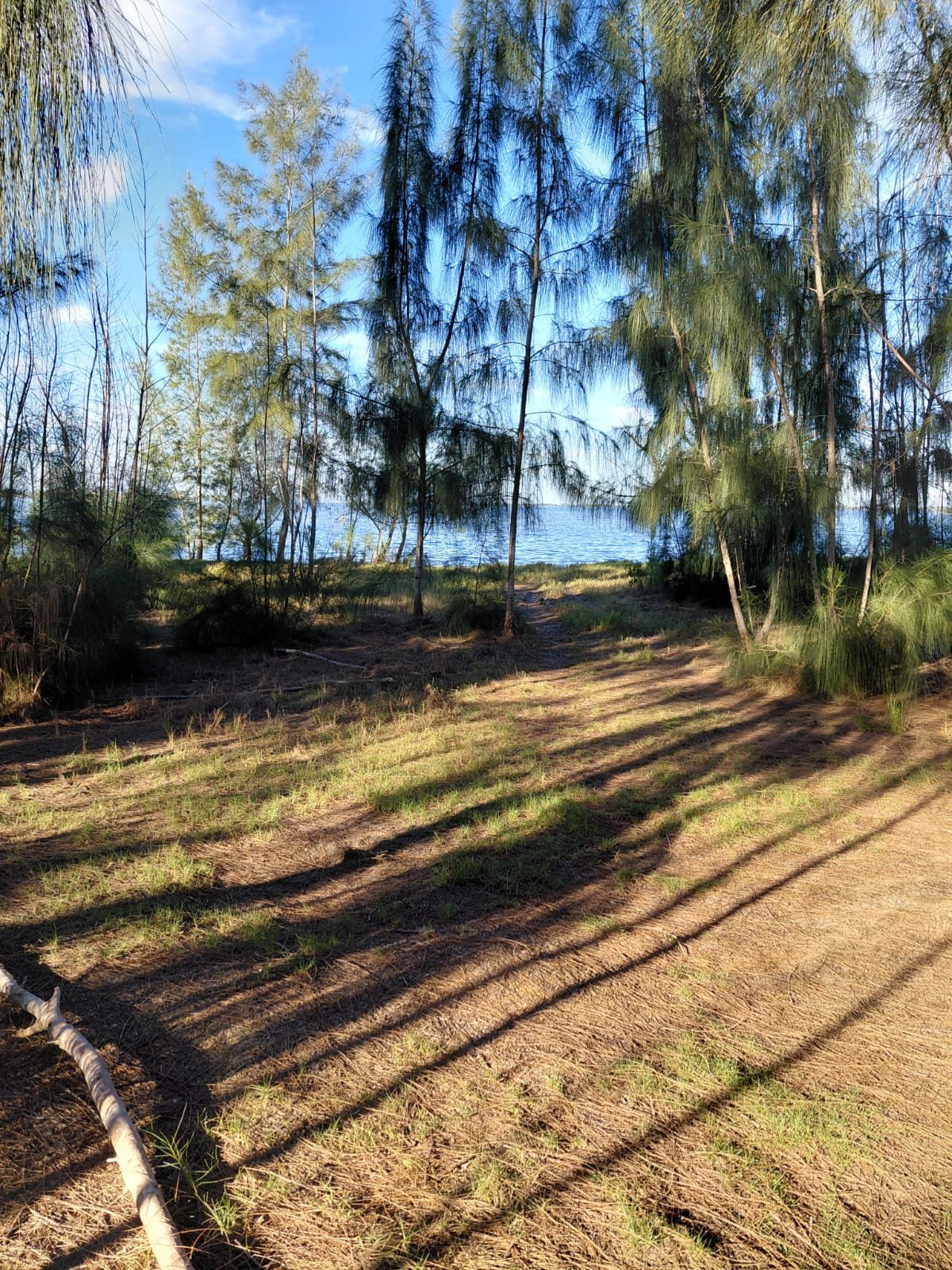 WhatsApp Image 2026-08-29 at 18.23.24 TERRENO NA BEIRA DA LAGOA NA PRAIA SECA EM ARARUAMA DE 450M² TOTALMENTE PLANO