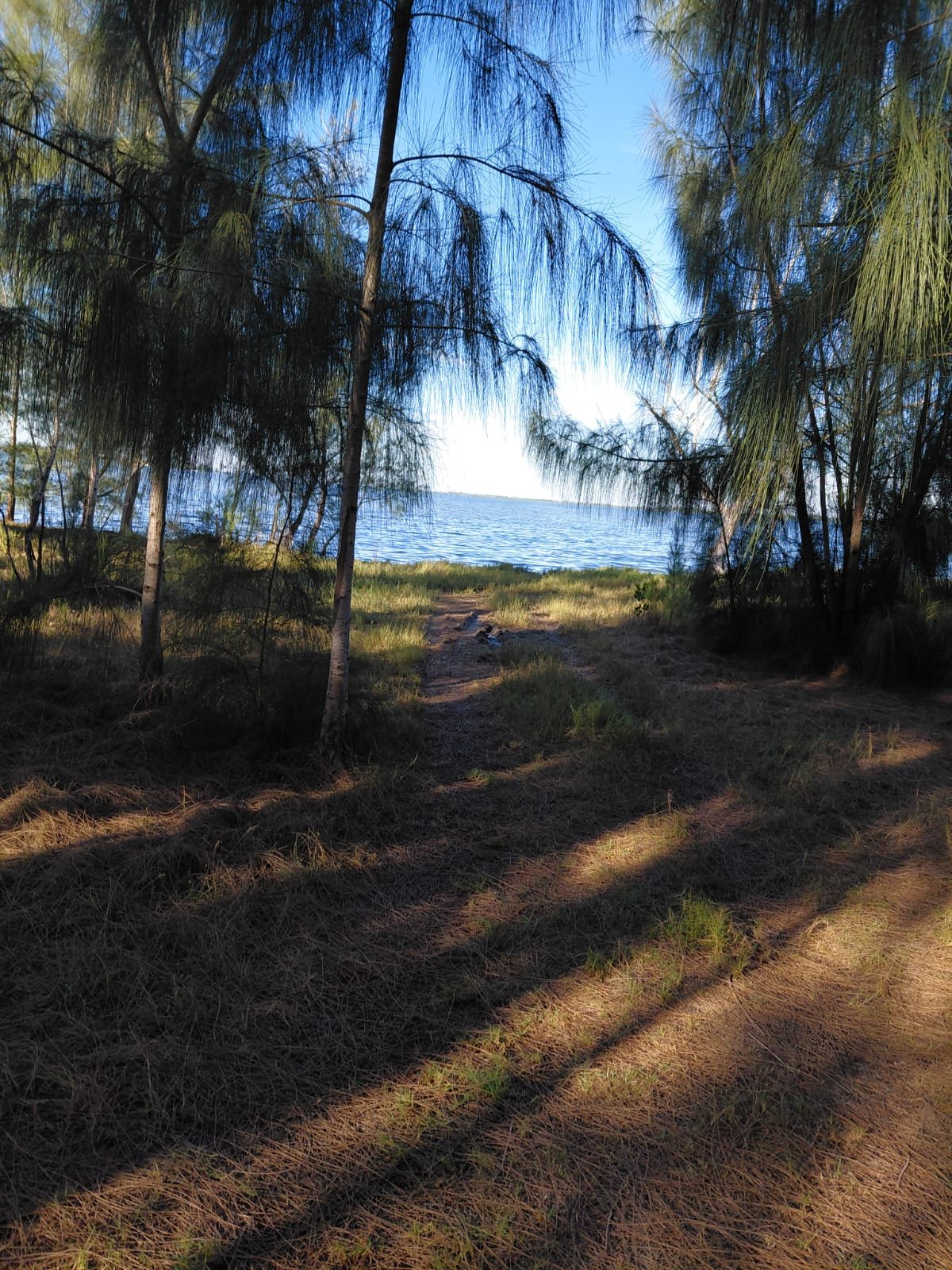 WhatsApp Image 2026-08-29 at 18.23.26 (3) TERRENO NA BEIRA DA LAGOA NA PRAIA SECA EM ARARUAMA DE 450M² TOTALMENTE PLANO